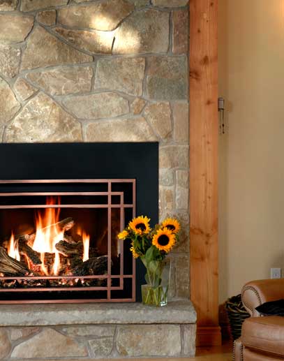 The Fireplace Showcase - Mendota Full View Gas Insert