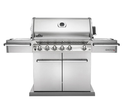 The Fireplace Showcase - Napoleon Gas Grill