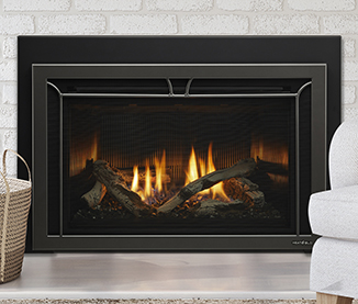 The Fireplace Showcase - Fireplace Gas Insert