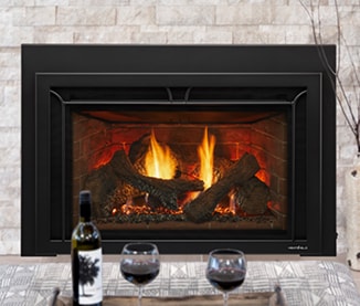 The Fireplace Showcase - Gas Fireplace Insert