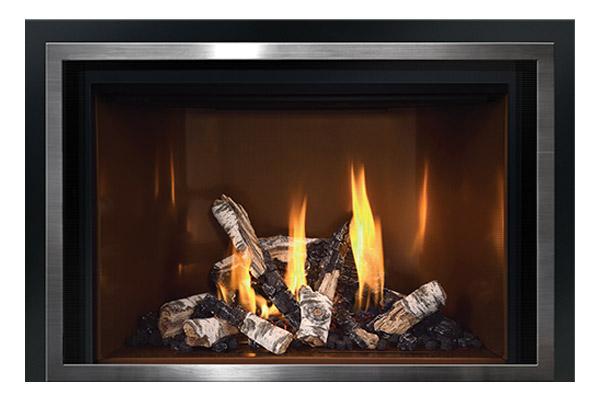 The Fireplace Showcase -  Mendota Gas Inserts FV44I Decor