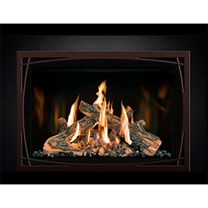 Create a Cozy Ambiance with the Stunning  Mendota FV44i FireIn Gas Insert