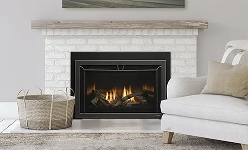 The Fireplace Showcase - Heat N' Glo Cosmo Gas Fireplace Insert