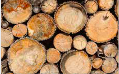 Vermont Castings Seasoned Wood Guide